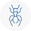 Ant Removals In Cowdenbeath