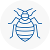 Bed Bug Extermination In Cowdenbeath