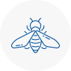 Bee Nest Removal Cowdenbeath