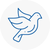 Bird Prevention Cowdenbeath