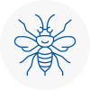 Cowdenbeath Hornet Nest Removals
