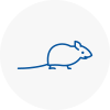 Mice Exterminators In Cowdenbeath