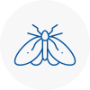 Moth Control Specialists In Cowdenbeath