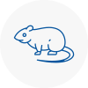 Rat Control Cowdenbeath