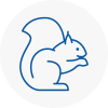 Cowdenbeath Rodent Removals
