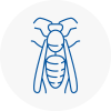 Cowdenbeath Wasp Nest Removal
